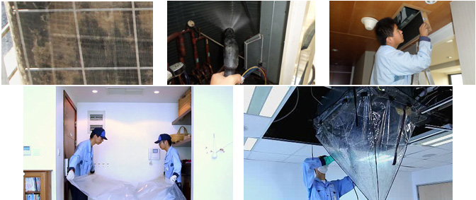 ������{��ϴ���B����